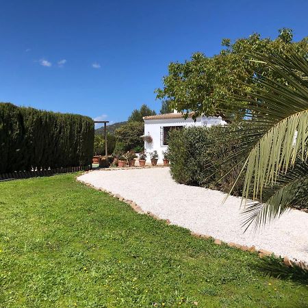 Casa La Alegria 37 Bed & Breakfast Villanueva de Tapia Exterior photo