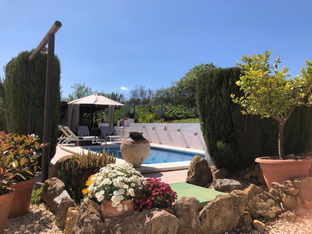 Casa La Alegria 37 Bed & Breakfast Villanueva de Tapia Exterior photo