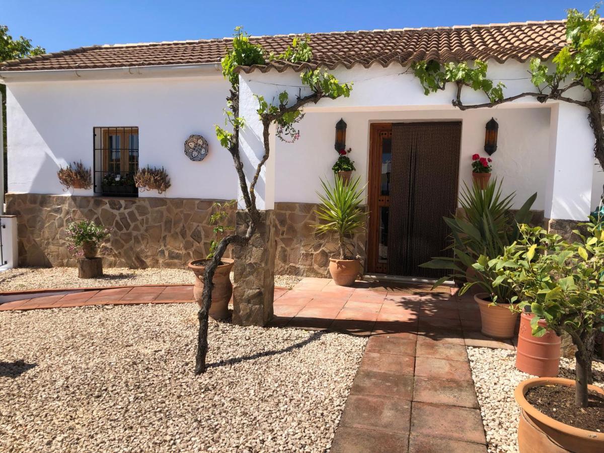 Casa La Alegria 37 Bed & Breakfast Villanueva de Tapia Exterior photo